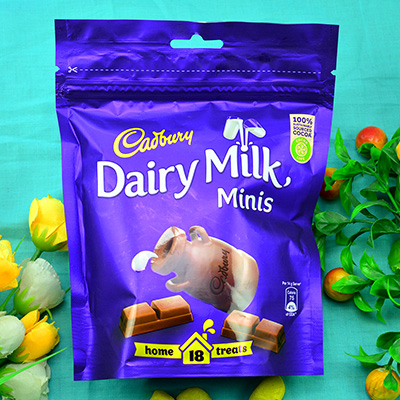 Cadbury Diry Milk Minis Pack of 18 Pieces of Chocolate