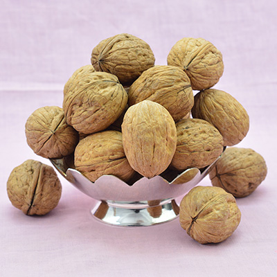 Full of Protein Walnuts without Kernels